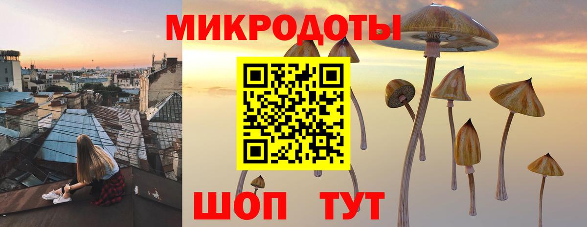 Галлюциногенные грибы мицелий  Вход с VPN  Мыски 